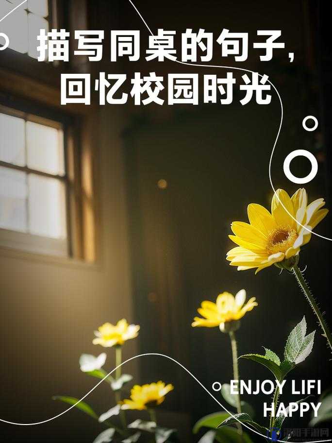 校园 pop1n 高中同桌课堂：那些年我们一起经历的美好时光
