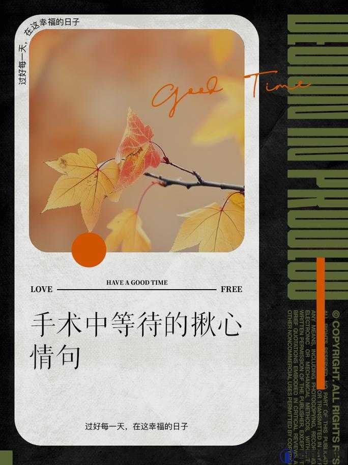 我已来不及等待 急切想要把你拥入怀