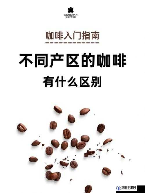 麻豆精产国品一二三产区区别：探究不同产区的特点与差异
