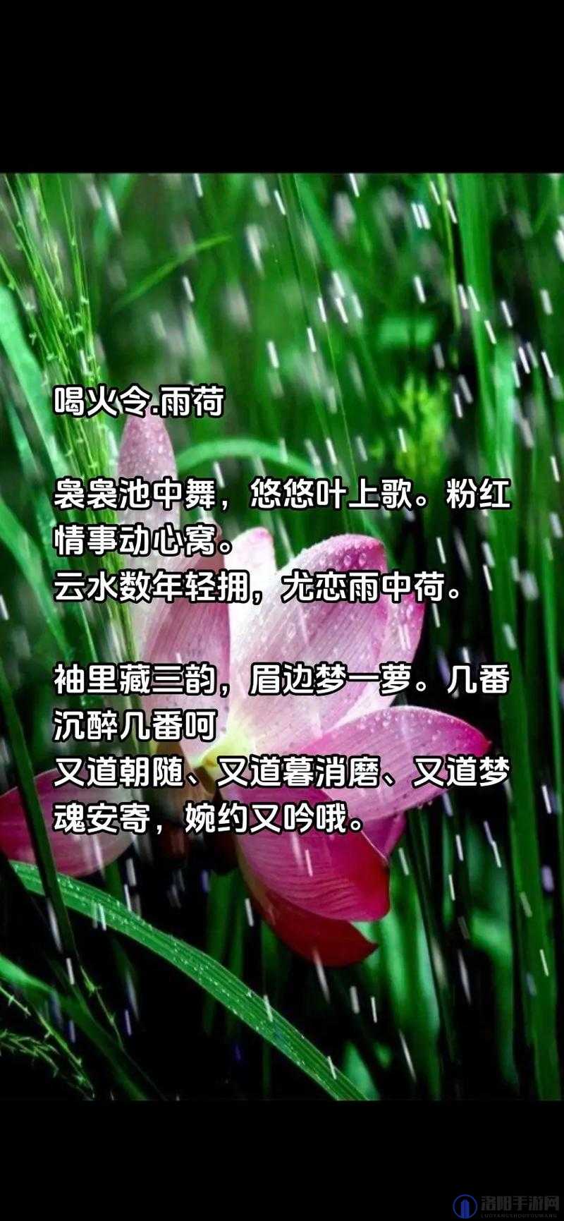女生呵啊呵啊呵啊叫什么歌：一首引人入胜的神秘歌曲