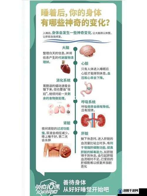 过激行为 1v1 睡眠对我很重要吗：深入探讨其背后的意义与影响
