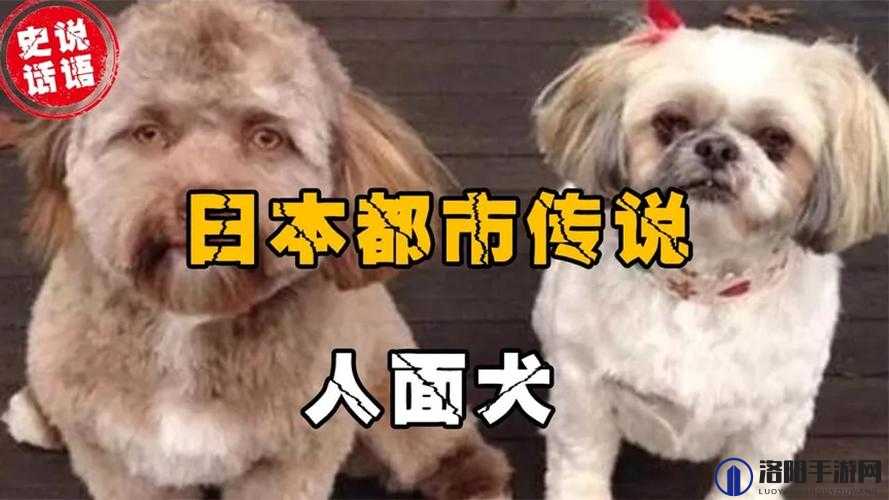 生物课上全班人面前实现高 C 之奇妙经历