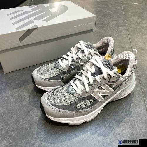 990v6 美版和亚洲版区别:深度剖析两者的显著差异