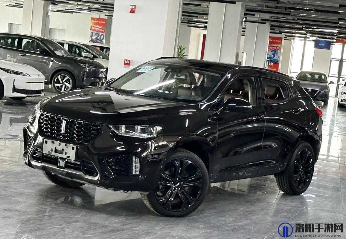 WeyVV5 国产 SUV 视频：全方位展示其卓越性能与魅力