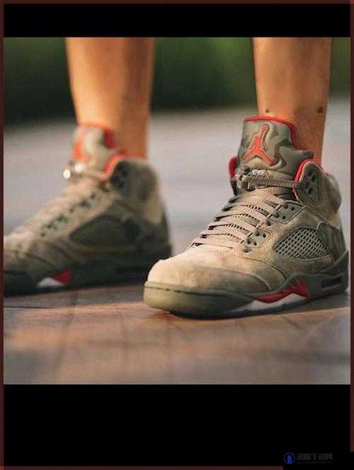 宿舍 aj11 飞机：探索其背后的独特魅力与故事