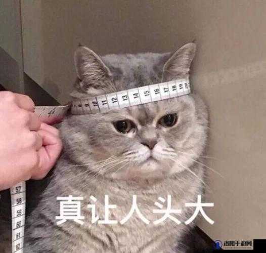跟最讨厌的部长出差，真是令人头大