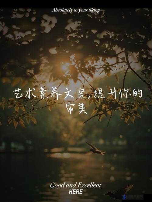 可不可以干湿你下笔愁：探寻文字背后的深层思绪