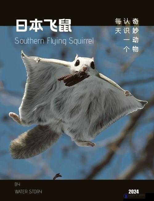 人马畜禽 company:探索动物与科技的奇妙融合