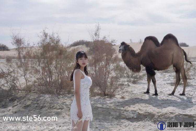 越南女 rapperdiss 引发的独特音乐碰撞与思考