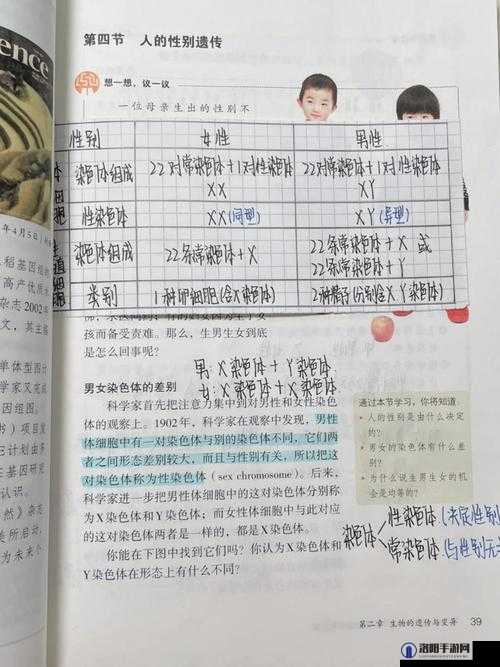 性别的自由与限制：关于性别自由凸轮管汇编的探讨