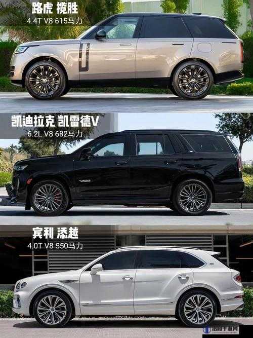 成熟的欧美精品 SUV：品质与豪华的完美结合