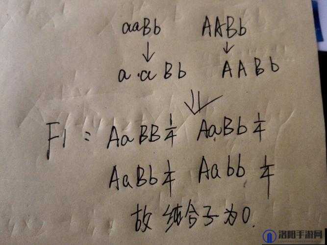 AABB 与 AAAA 的区别据说能找到齐全的视频资源：全面深度解析及更多相关内容