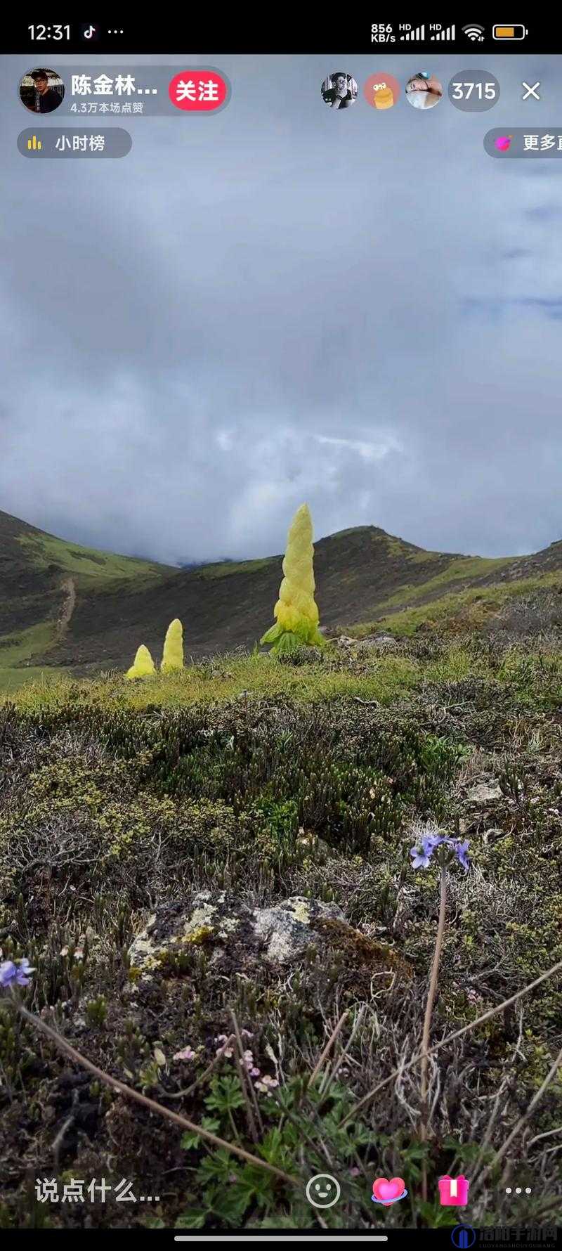 两座雪白玉峰弹跳而出图文：大自然的神奇视觉盛宴