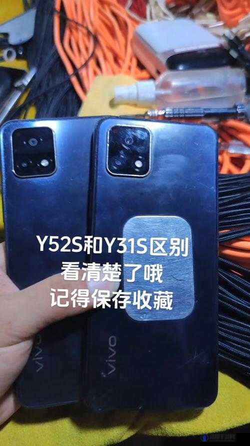 一级成色好的 y31s 标准版评测：全方位深度解析