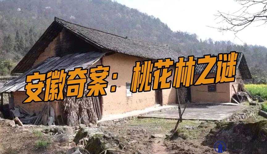 走进桃花洞口：探访现状之谜