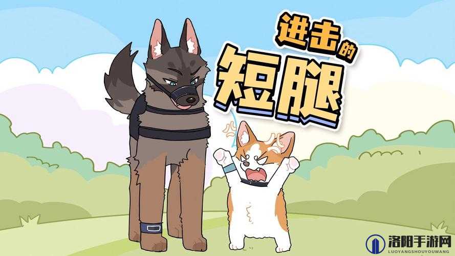 衬衫里的小兔子蹦来蹦去：关于这奇妙现象的有趣探讨