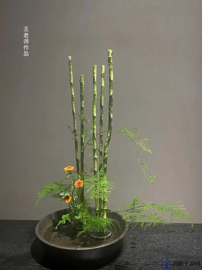 插花弄玉曲径通幽又重新上线了：精彩内容等你品鉴