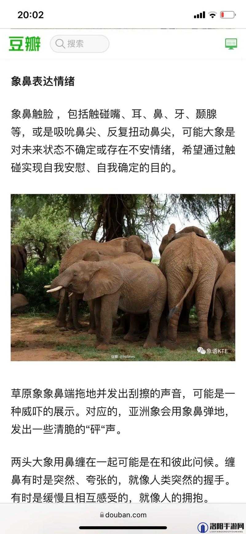 满 18 点此安全转入 2023 大象：关于它你需要知道的一切