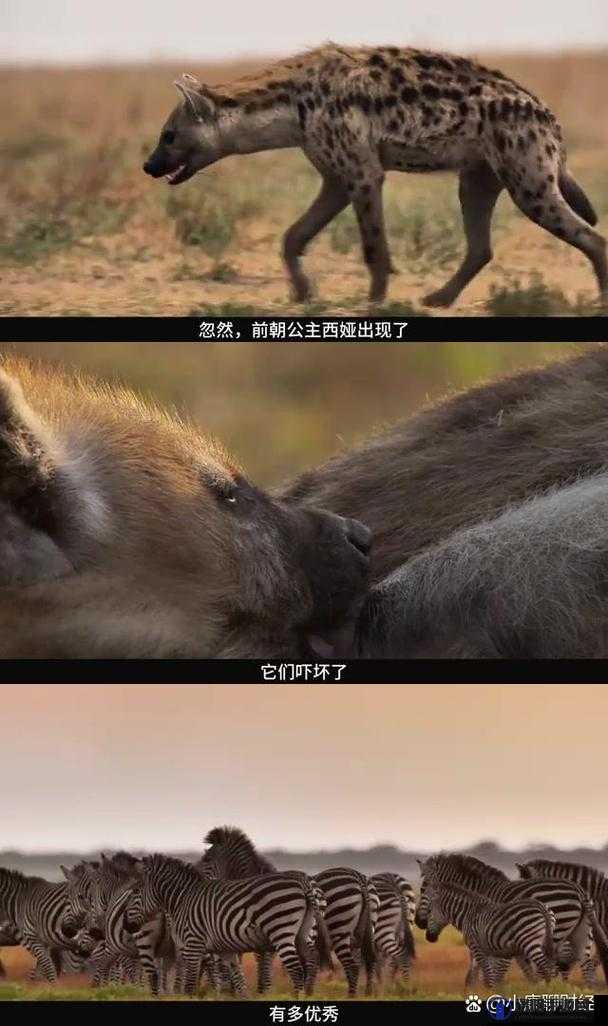 前朝公主 1V3：一场跨越时空的权谋与情感纠葛大戏
