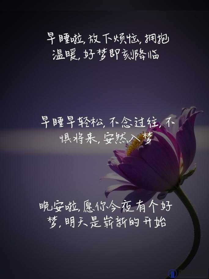 在睡前 C1V1：让心灵在宁静中安然入梦的独特时刻