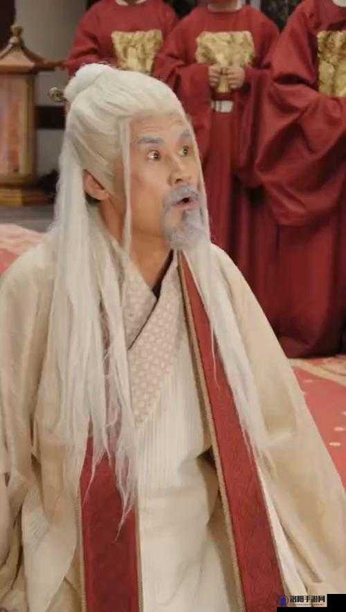 权臣 HIH 将军皇上的朝堂风云：权力斗争与情感纠葛