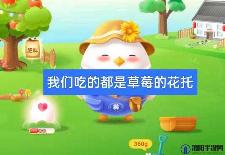 我们平常吃的草莓蚂蚁庄园：探寻美味背后的故事
