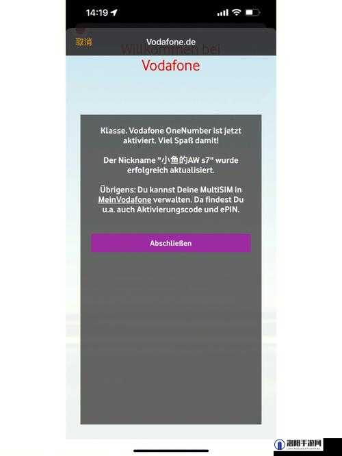 欧洲 vodafonewifi 粗带来的独特网络体验
