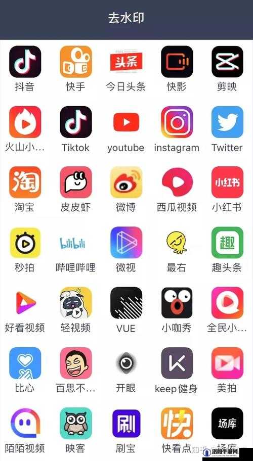 免费的短视频 app 大全苹果手机-提供丰富多样的短视频体验