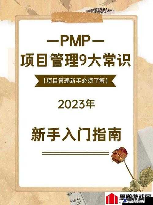 深入浅出 PMP 不慎意外走红：其背后的原因及影响探讨