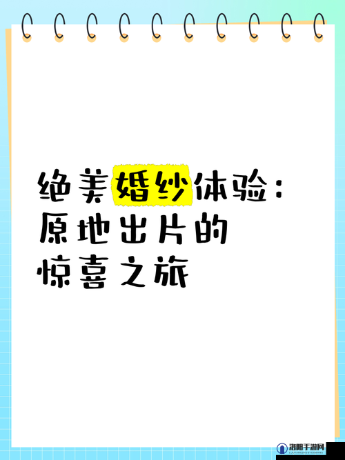 好看又好用的bb：带来全新惊喜体验之旅