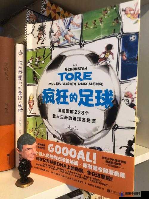 疯狂猜图10球衣球星挑战，解锁你的足球记忆！