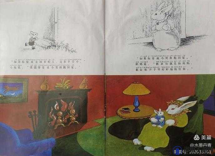 老师的大兔子背后的奇妙故事