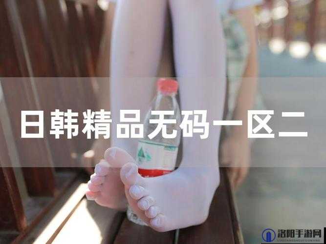 日本精品一区二区之独特魅力与精彩呈现