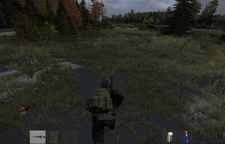 DAYZ独立版 DMR14手戗使用技巧