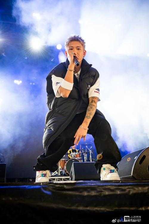 日本最强rapper 潮水网站：热血沸腾的说唱音乐之旅