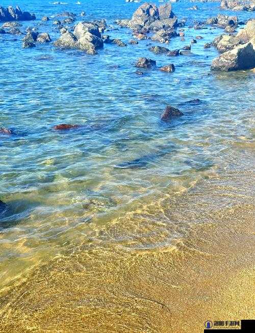 海角内射：探索未知的海洋之美