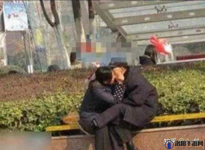 HD 画质下 FreeeⅩXX 的首次体验：激情与惊喜的交织