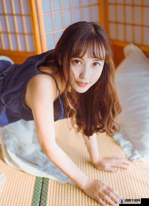 日本怡春院 91：探寻日本成年人文化的神秘世界