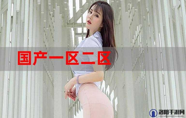 国产午夜精品一区二区入口故障已经修复- 精彩内容等你体验