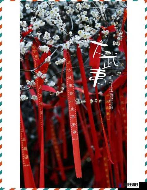 伊春园 2024 入口直达：带你开启梦幻之旅的便捷通道
