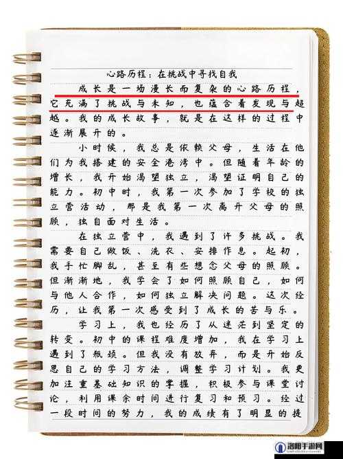 我的高中成长日记：从青涩到成熟的蜕变