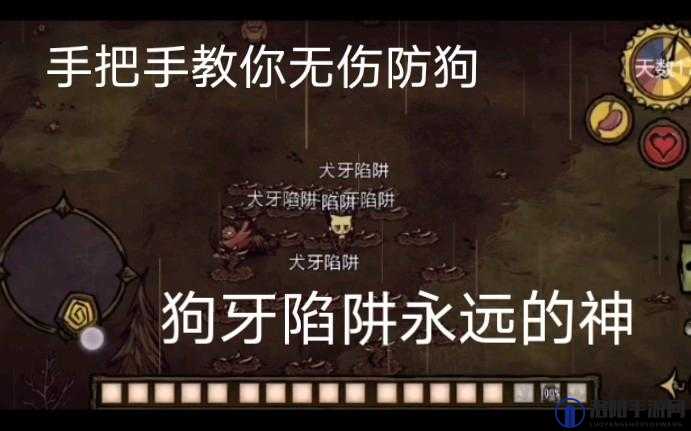 饥荒狗牙陷阱的新用法