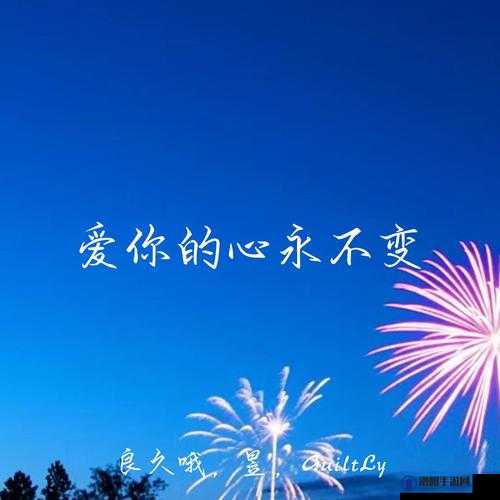 あなたを爱しています：此生此世爱你永不变
