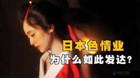 日本色倩网是什么:探寻其背后的神秘面纱