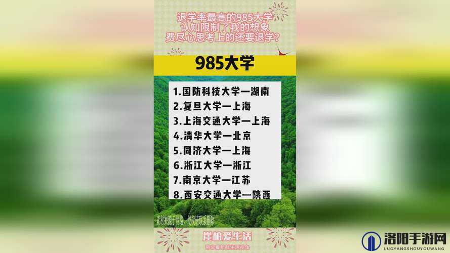 国精产品 999 永久完整版：引领独特精彩体验