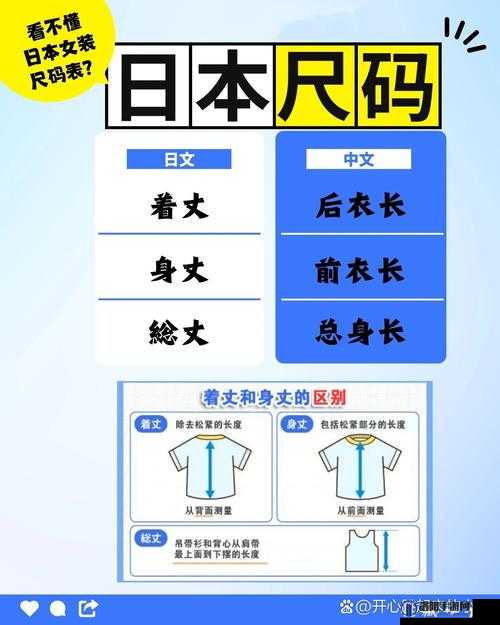 日本尺码与亚洲尺码专线之全面解析对比及应用探讨