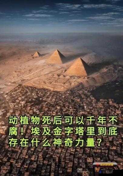 啊你tm别了app这到底是个什么样的神奇存在呢
