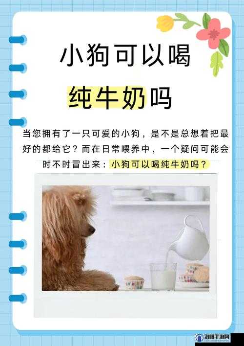12 岁能在小花园里挤出牛奶吗：这是一个值得探讨的问题
