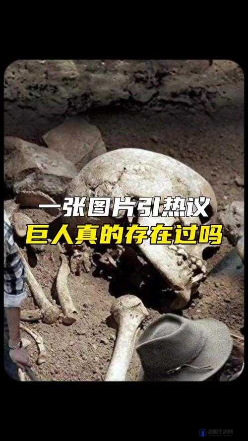 911 人兽背后的真相：震惊世界的未解之谜