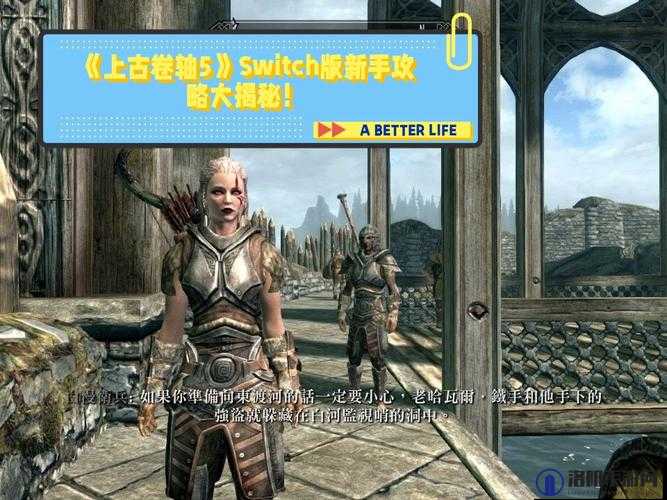 上古卷轴5攻略，安装跳出？别急，这里有妙招！